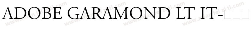 Adobe Garamond LT It字体转换